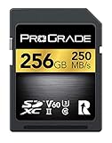 SDXC UHS-II V60 GOLD 250GB メモリーカード
